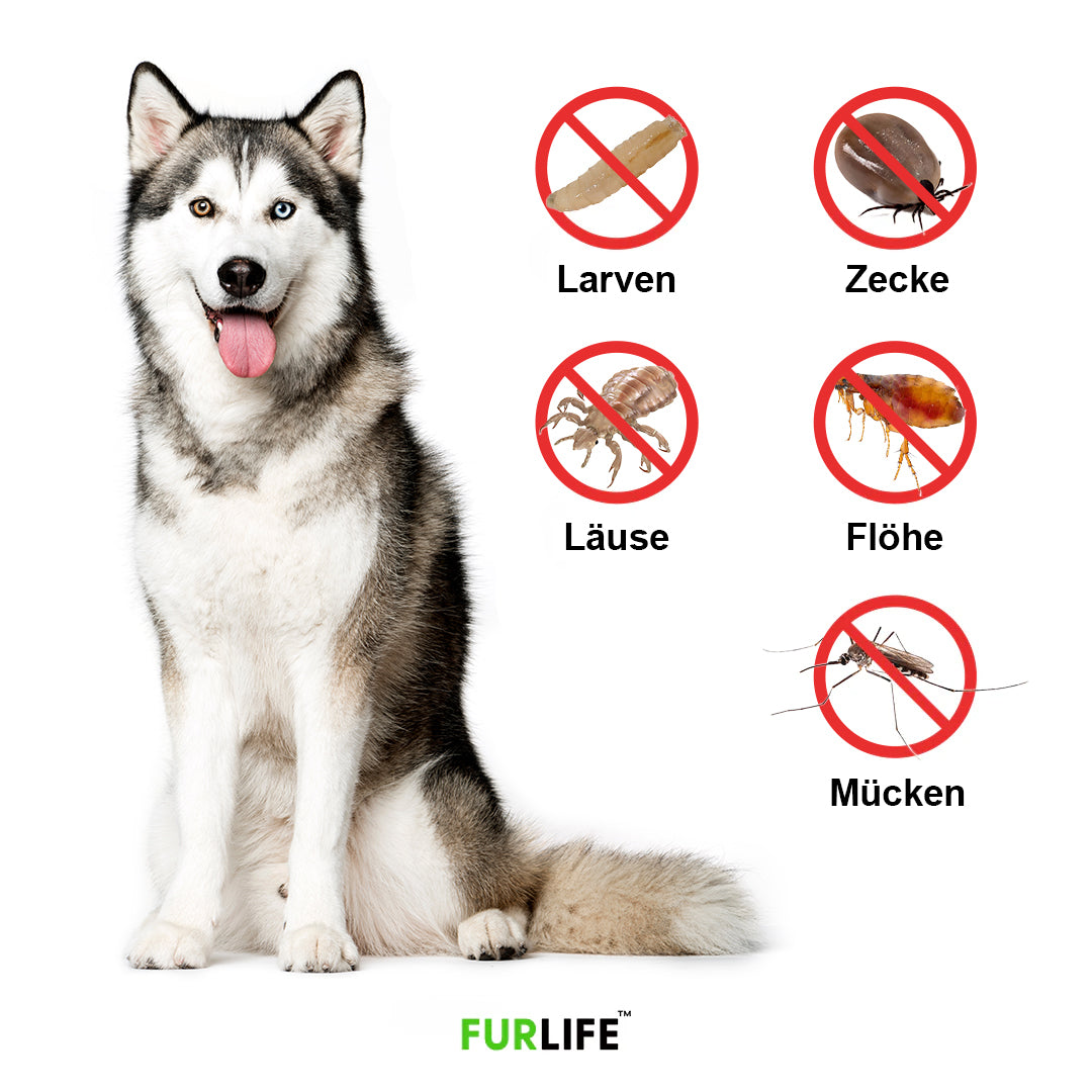 FurLife™ 8 Months Flea and Tick Free