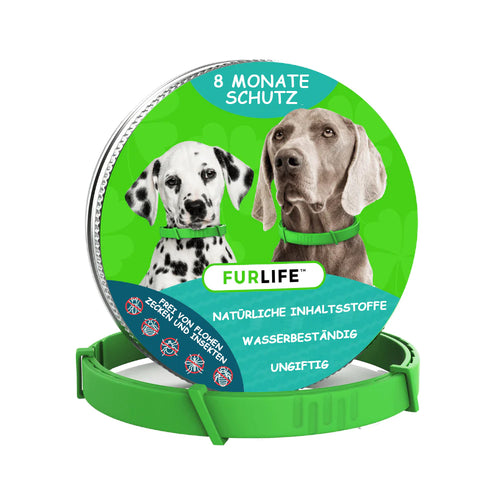 FurLife™ 8 Months Flea and Tick Free